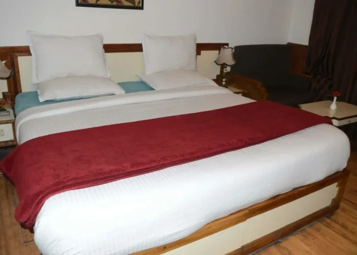 Standard room Kashmir Package