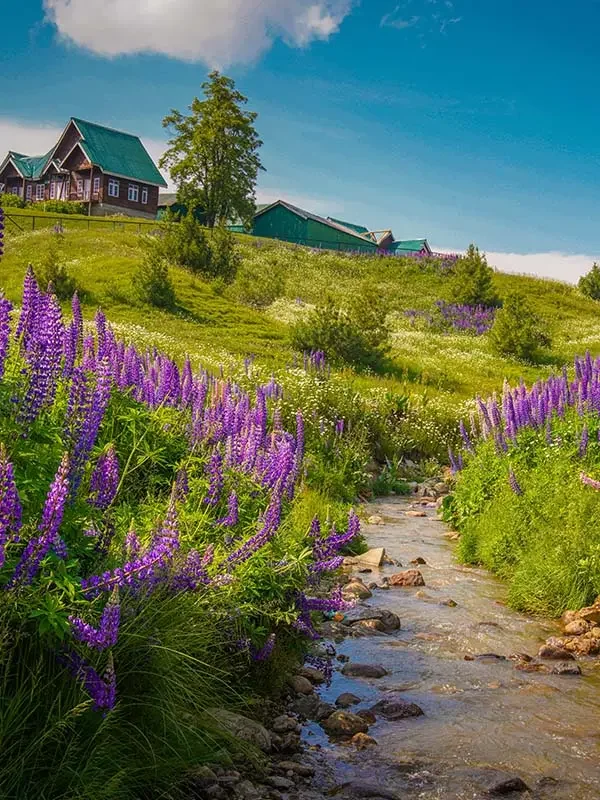 Kashmir Tour Package for 5 Days 4 Nights