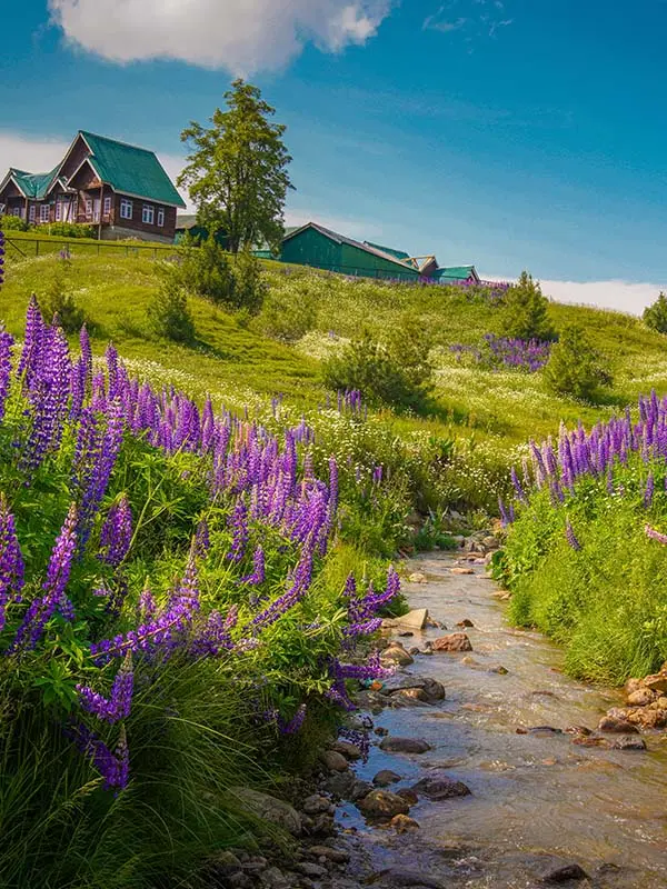 Kashmir Tour Package 5 Days 4 Nights Travel Clan Kashmir Tour Package 5 Days 4 Nights Travel Clan