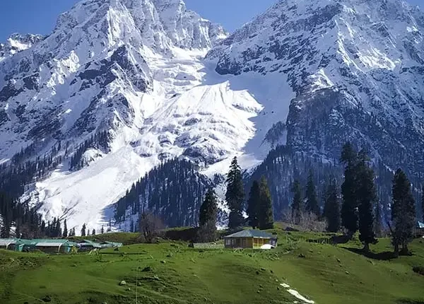 Kashmir Tour Package 8 days 7 nights