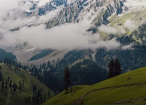 Kashmir tour Package from Kolkata by Travel Clan