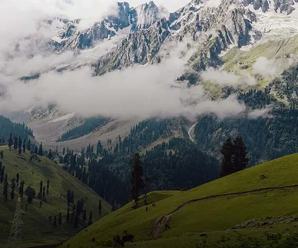 Kashmir tour Package from Kolkata by Travel Clan