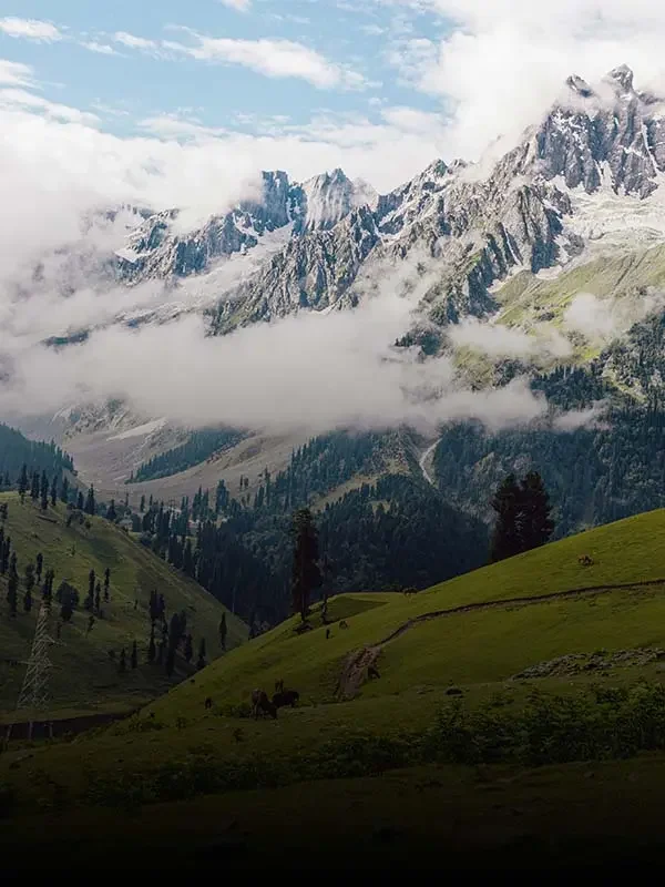 Kashmir tour Package from Kolkata by Travel Clan